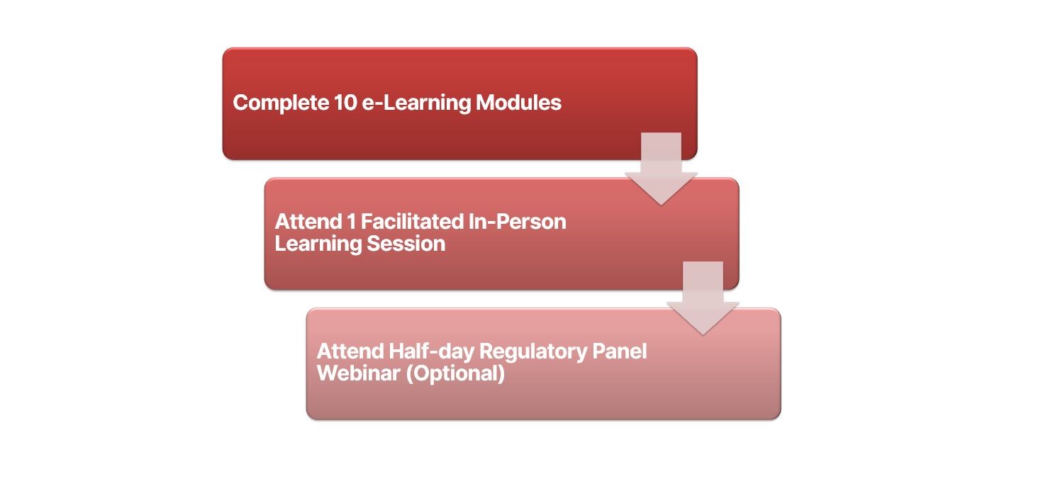 Programme Structure